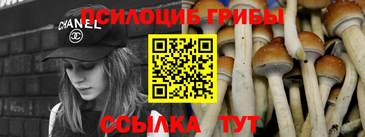 что такое наркотик  Псилоцибиновые грибы прущие грибы  Вход с VPN  Тулун  Галлюциногенные грибы ЛСД 
